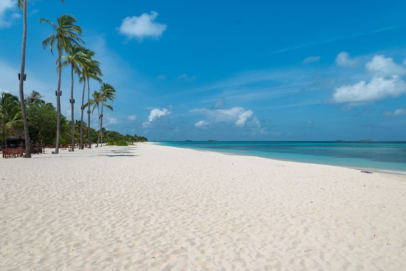 White-sand beach fringed by palms and turquoise water