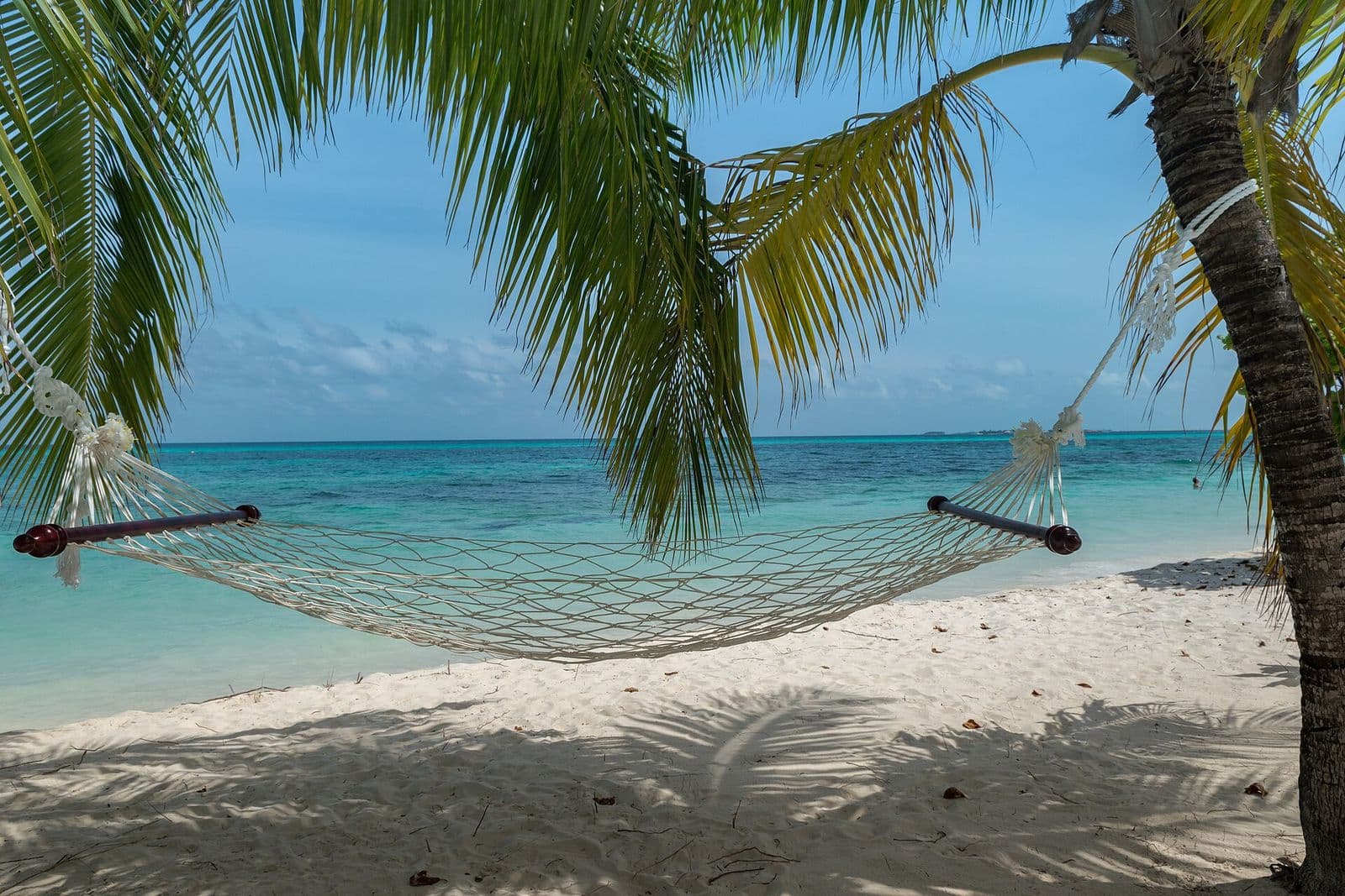 Hammock strung between palms on a Maldivian beach