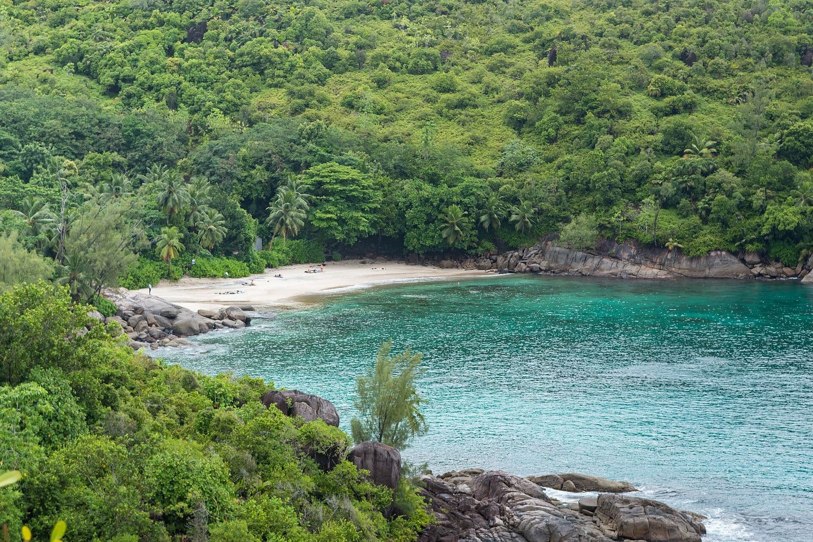 Green hills rising above a quiet bay in the Seychelles