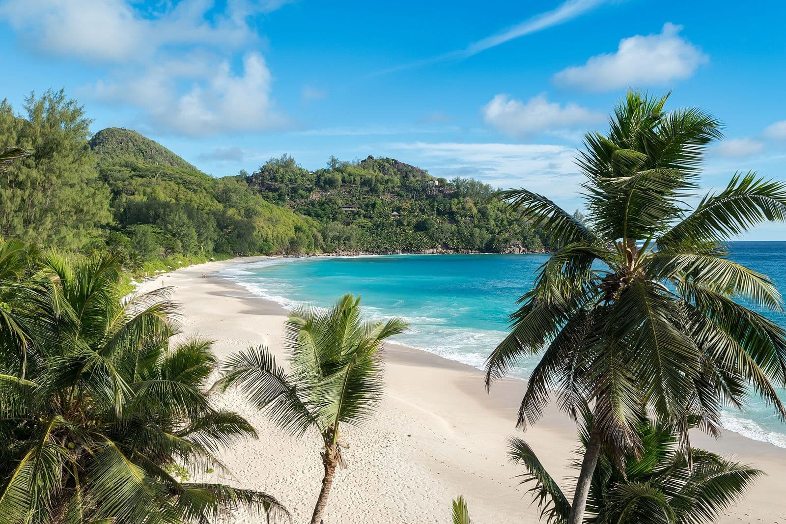 Palm-fringed bay with turquoise water