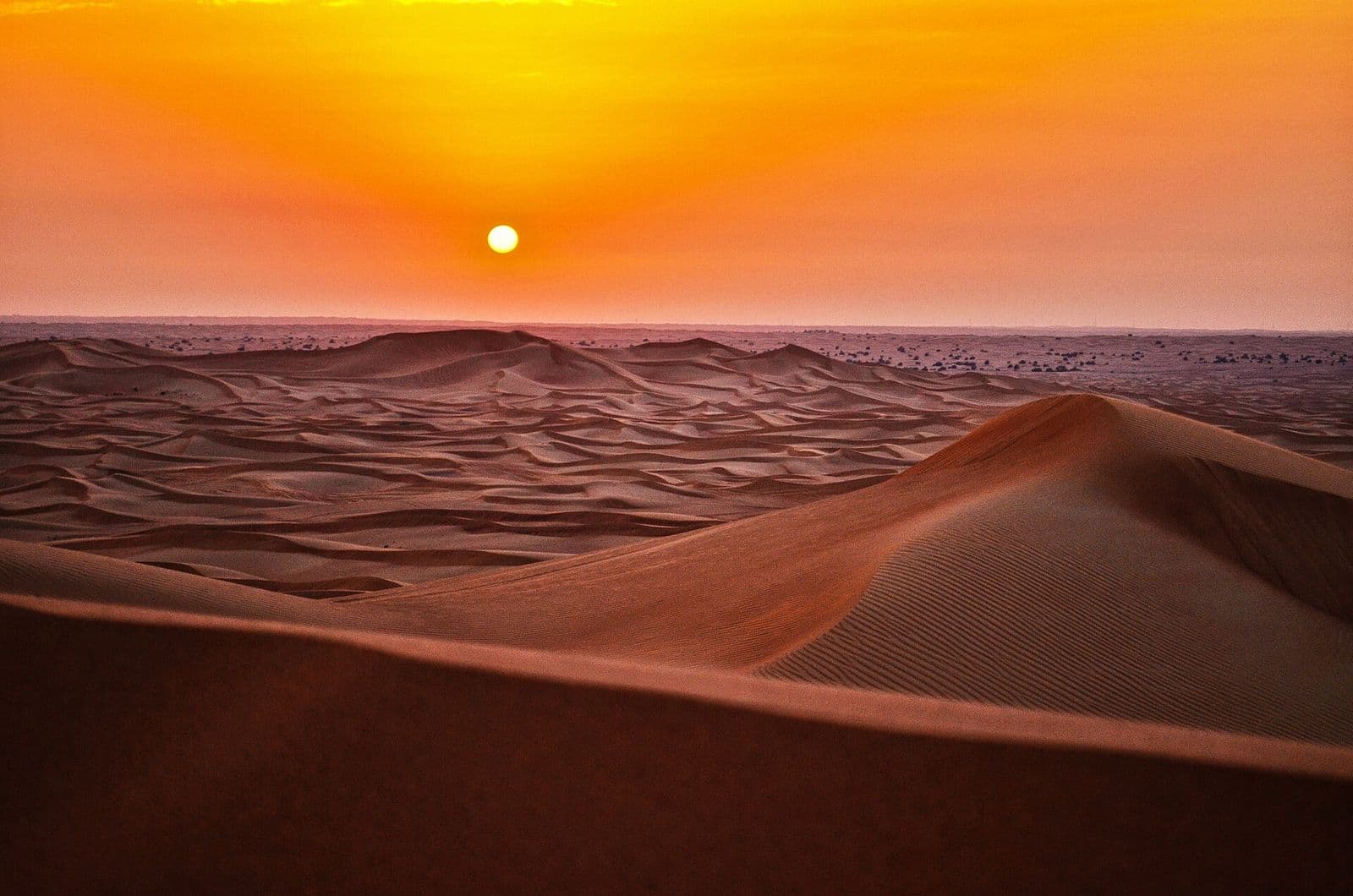 Desert dunes glowing at sunset