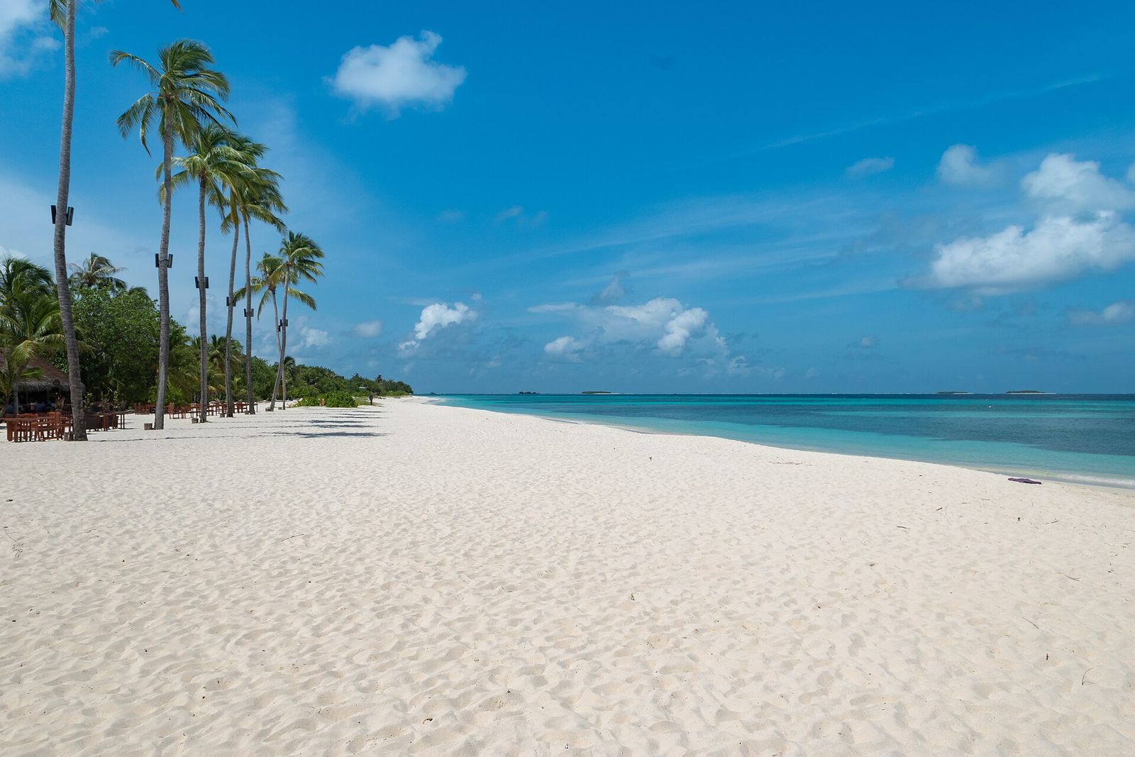 White sand beach lined with palm trees beside turquoise water