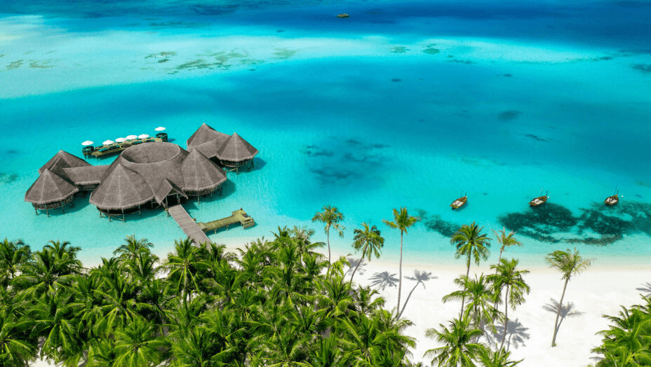 Thatched overwater villa in a turquoise lagoon beyond palm trees