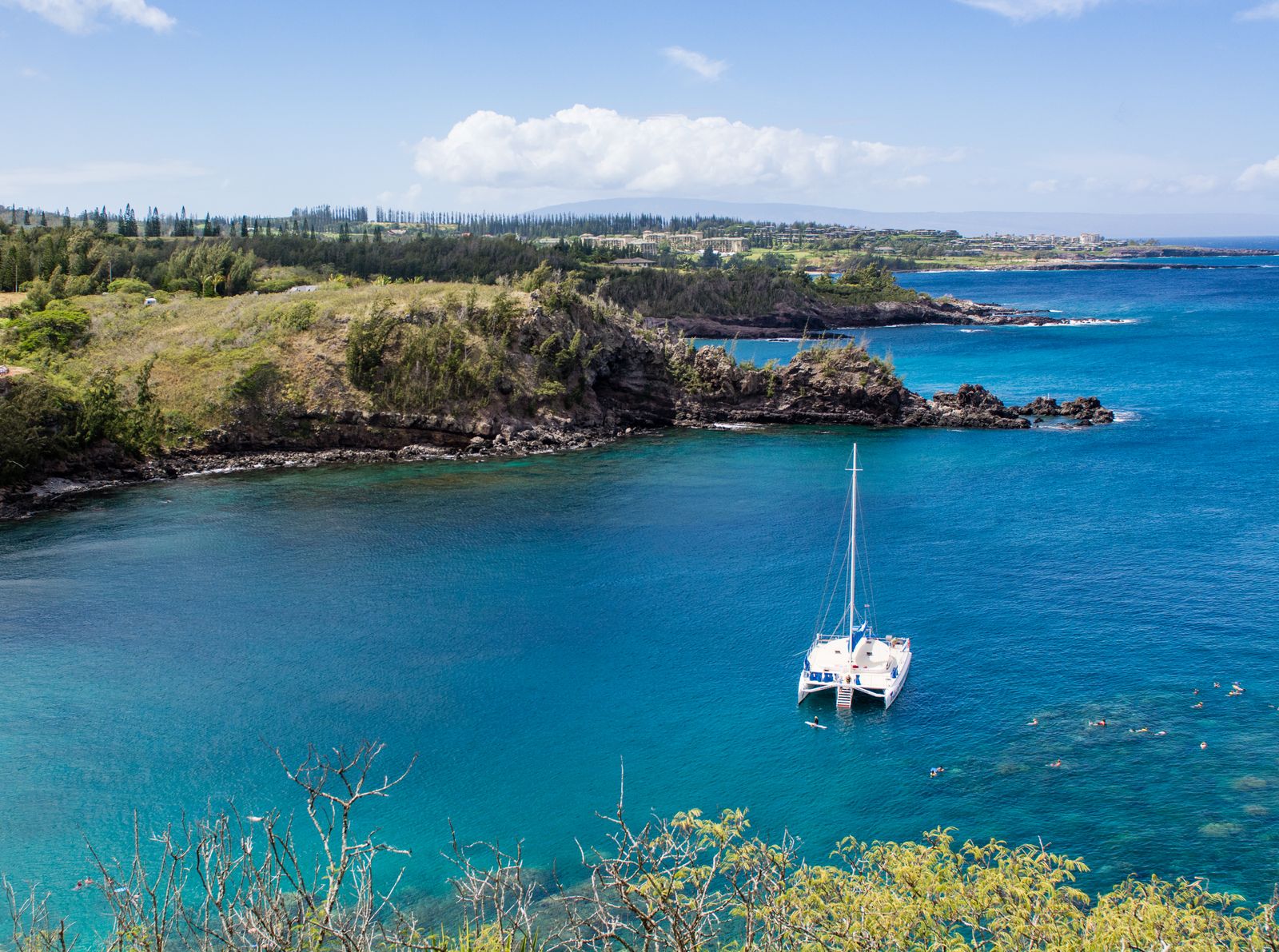 Sailing catamaran anchored off a tropical island