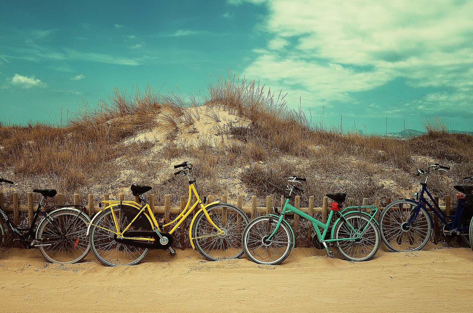 Bicycle on an island path