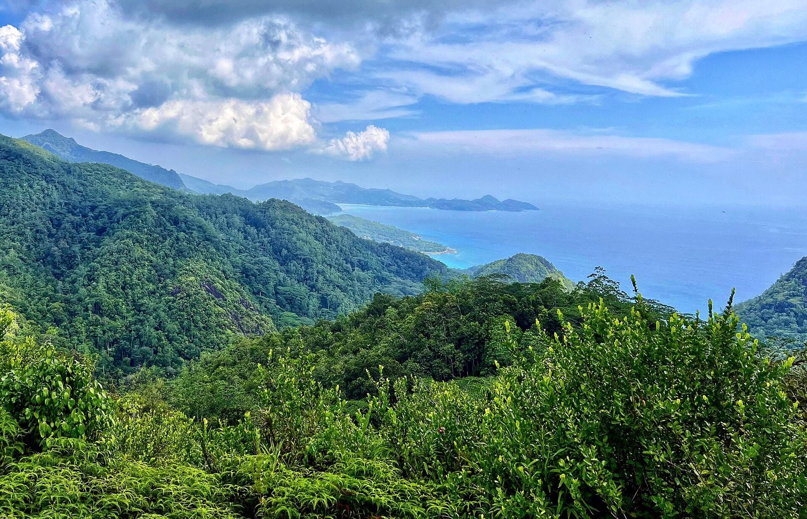Forested hills rolling down to the sea