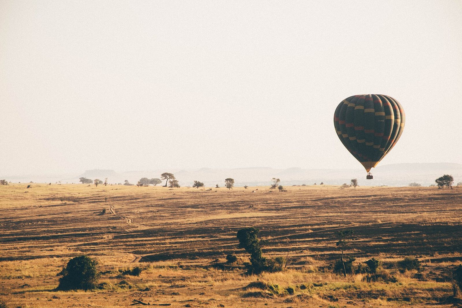 Hot-air balloon drifting over the savanna at sunrise