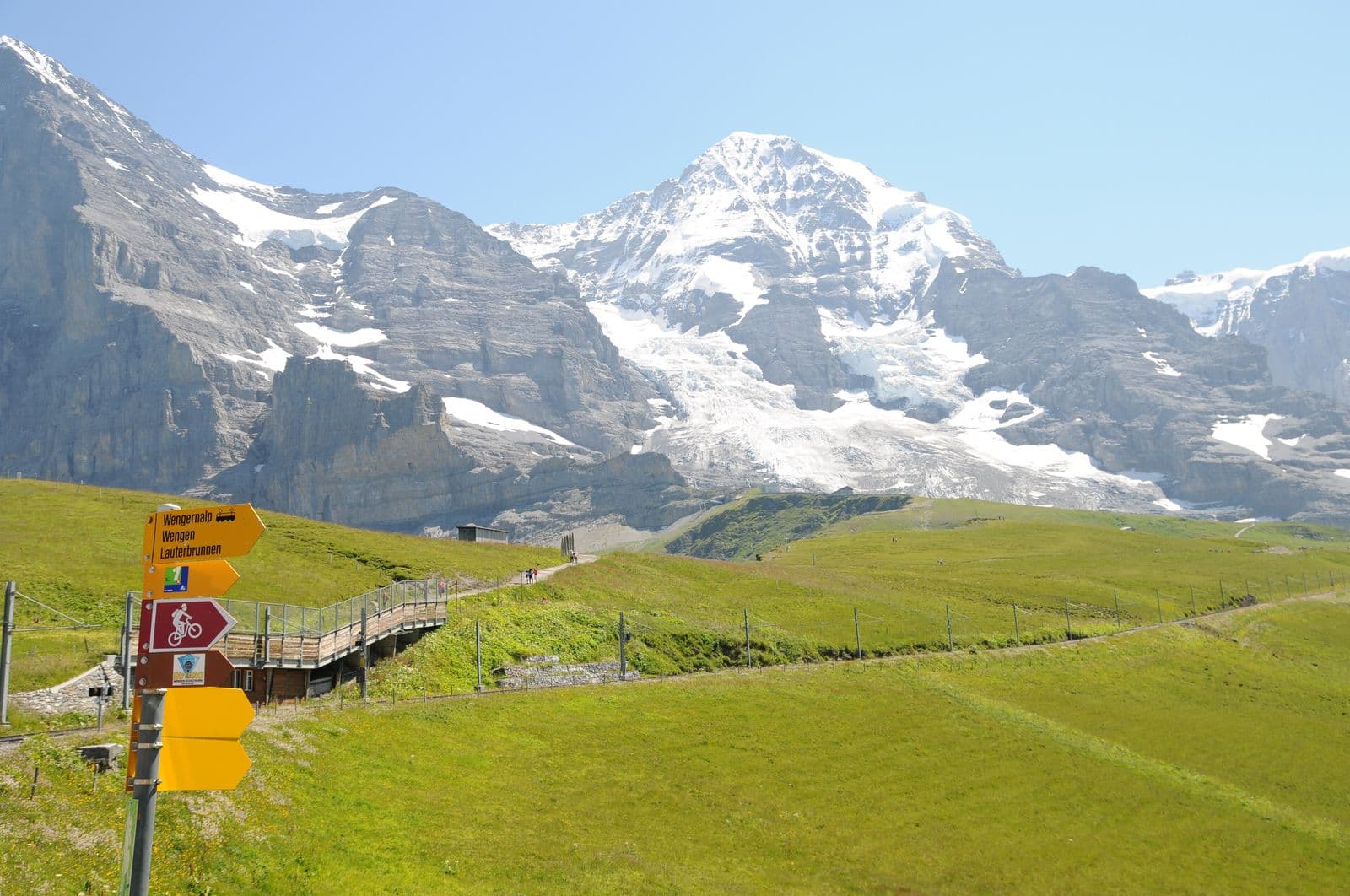 Hiking trail through a summer alpine meadow