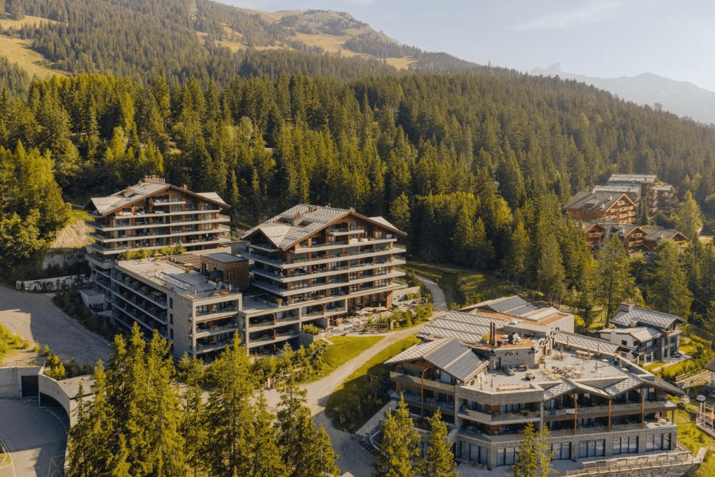 Modern chalet buildings among pine forest, seen from the air