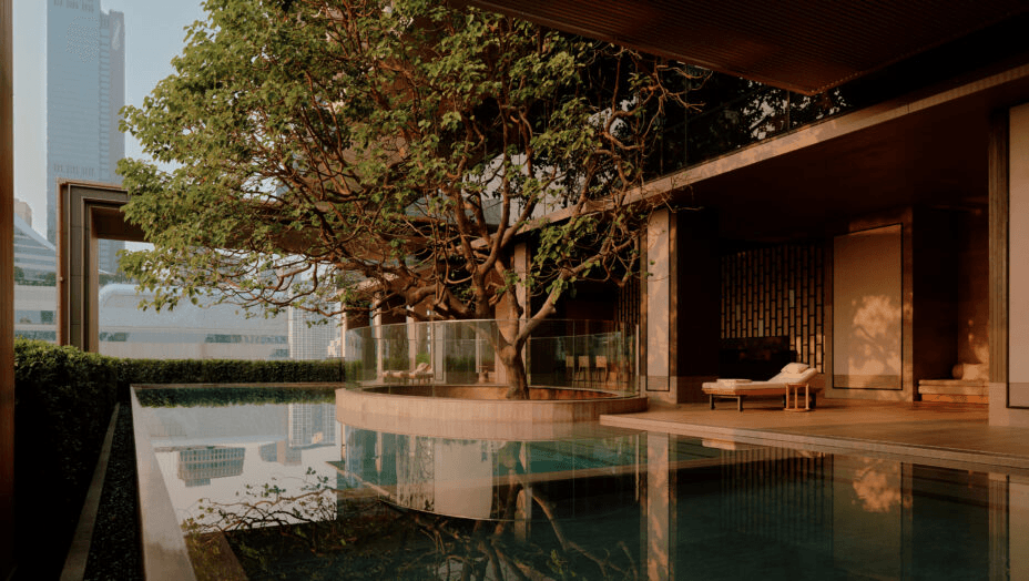 Pool pavilion beneath a large tree in a city garden
