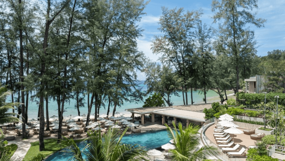 Pool deck and loungers among trees by the sea