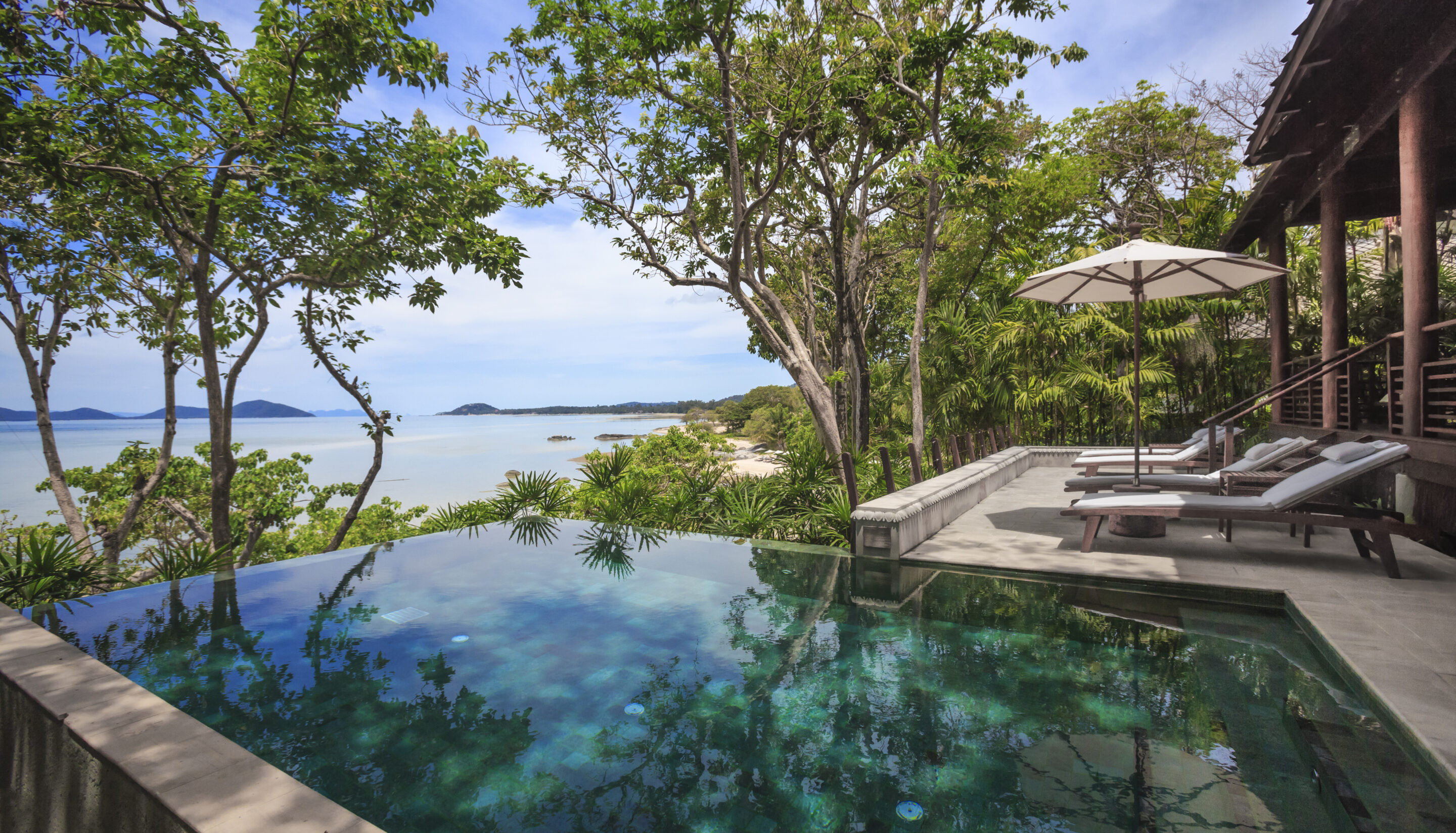 Infinity pool among trees overlooking the sea