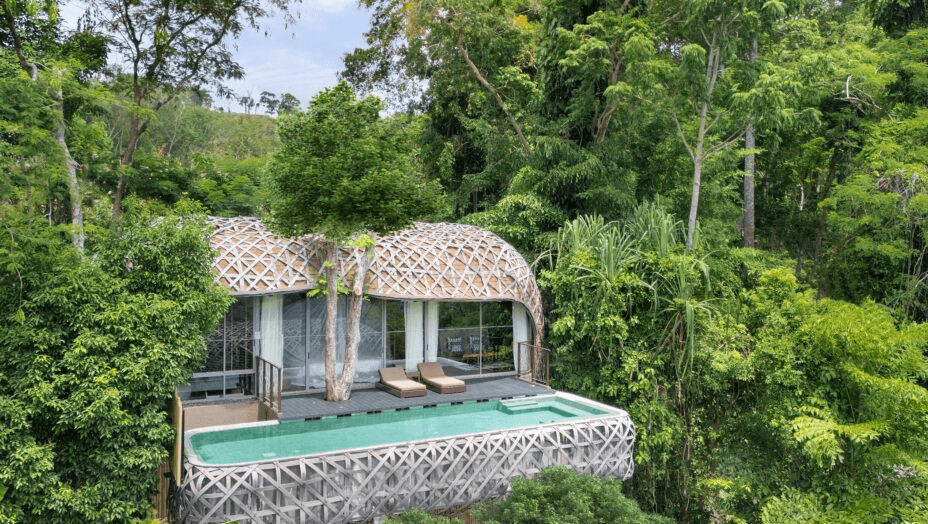 Nest-shaped pool villa set in rainforest