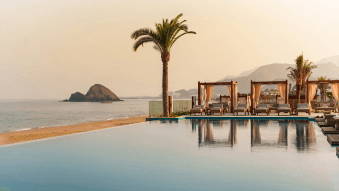 Infinity pool, a palm and a rocky islet at dusk